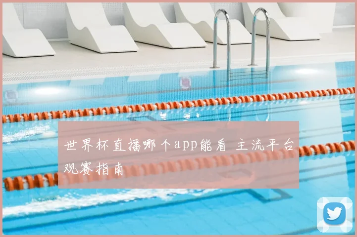 世界杯直播哪个app能看 主流平台观赛指南