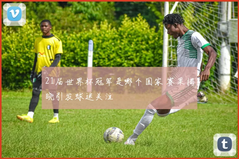21届世界杯冠军是哪个国家 赛果揭晓引发球迷关注