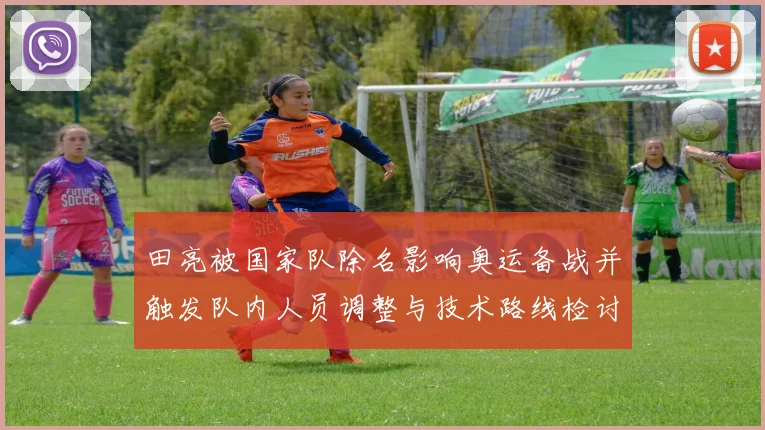 田亮被国家队除名影响奥运备战并触发队内人员调整与技术路线检讨