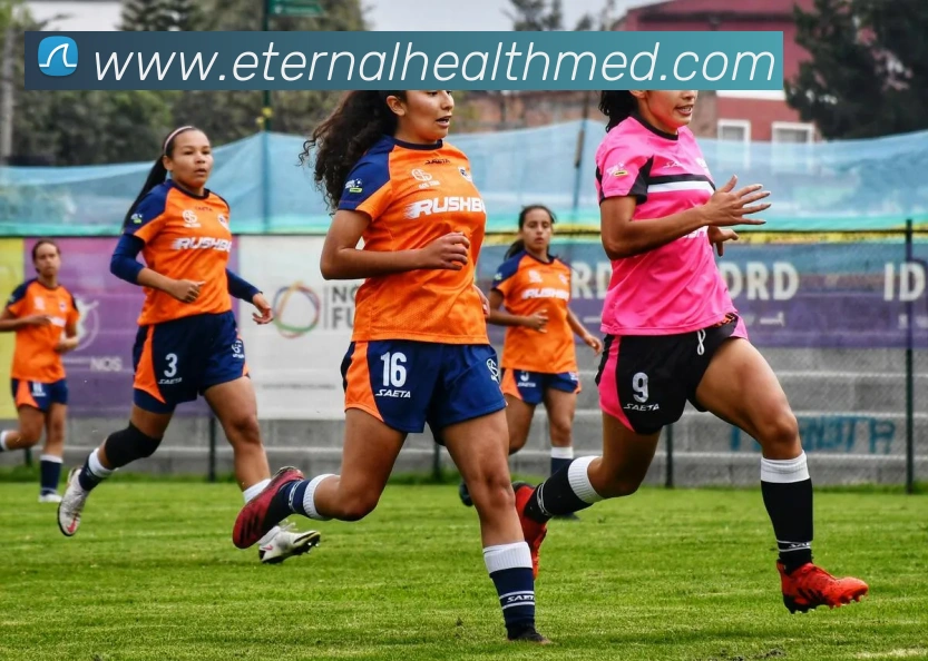 今年会官网地址平台生态图